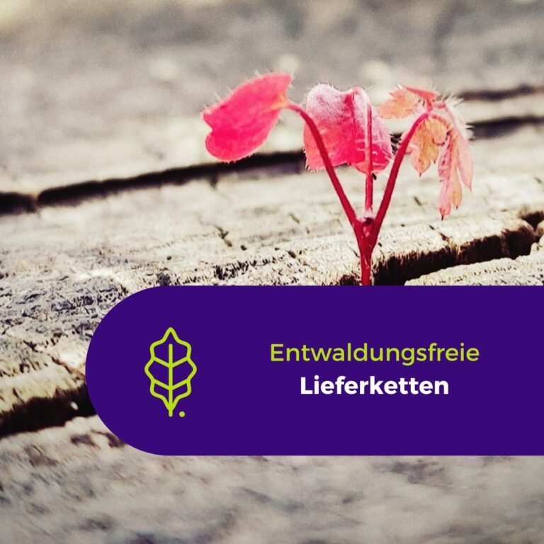 EUDR entwaldungsfreie Lieferkette