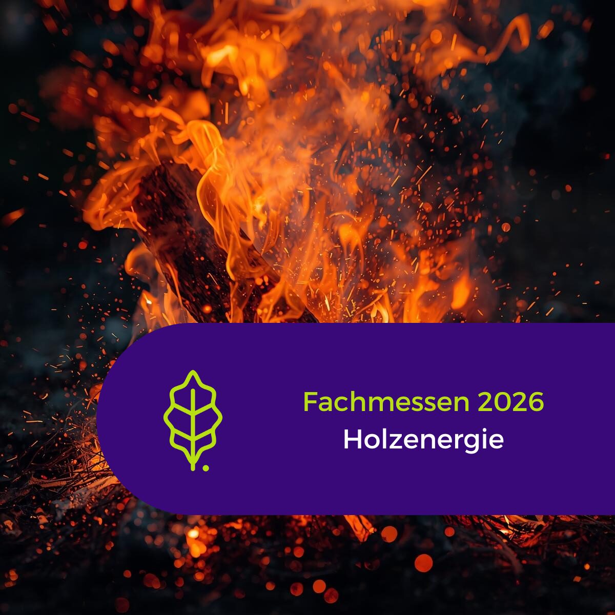 Fachmessen Holzenergie
